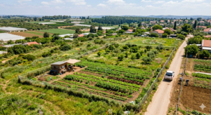 קרקע זמינה לבניה למכירה בעין ורד