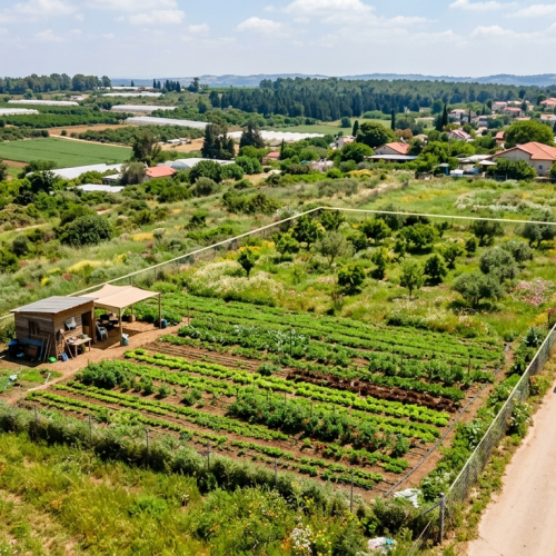 קרקע זמינה לבניה למכירה בעין ורד