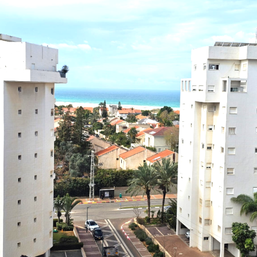 צילום מסך 2026-03-30 164636